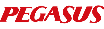 Pegasus Airlines