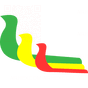 Mauritania Airlines