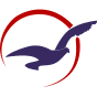Air Peace