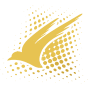 Regent Airways